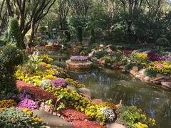 -上海共青森林公园