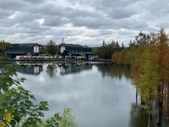 -白鹭湾湿地公园