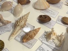 -摩登百货(岗顶店)