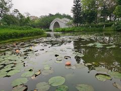 -映月湖公园