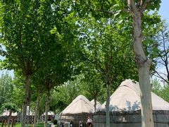 -九十九顶毡房(阜石路店)