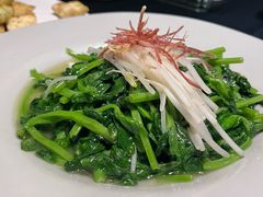 火丝银芽豆苗-江南雅厨(李公堤店)