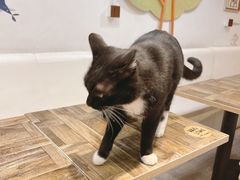-小时光咖啡馆(北锣鼓巷店)
