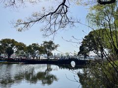 -无锡蠡湖国家湿地公园-蠡园