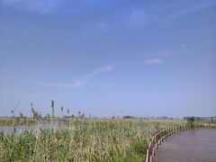 -盐城丹顶鹤湿地生态旅游区