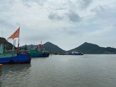 -花岙岛