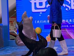 -兰岛广场(白沙路店)