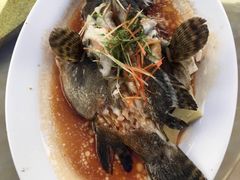 -四川小胡子海鲜(丁村万人海鲜广场店)