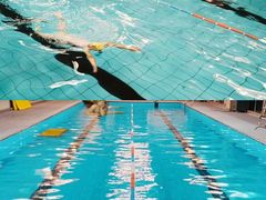 -硅谷蒙学幼儿园