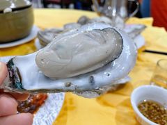 -蚝专家(北滘店)