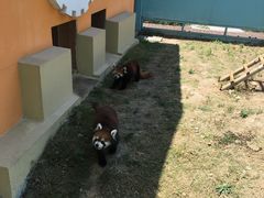 -无锡动物园·太湖欢乐园