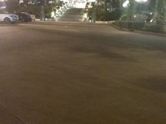 -麒麟中餐厅·经典粤菜·地道菜式老字号(广州长隆酒店)