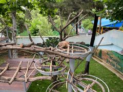 -西霞口神雕山野生动物世界