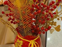 -杨翔豆皮涮牛肚(华阳城店)
