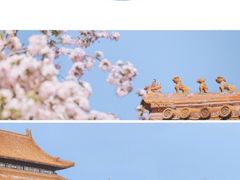 -故宫博物院(故宫)