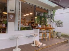 -Cafe In Little Forest