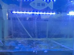 -忘情水鱼头·鲜鱼火锅(滨江中路店)