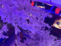 -山河屯铁锅炖鲜鹅·东北菜(开发区一店)