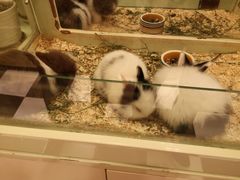 -龙猫仔乐园(惠福东路店)