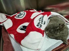 -佳雯宠物医院·皮肤科·内外科(春晓路分院)