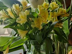 -甜阿姨·天台花园私房菜(万松园店)