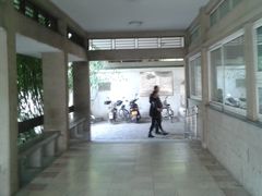 -紫竹院公园冰场