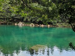 -石台牯牛降景区