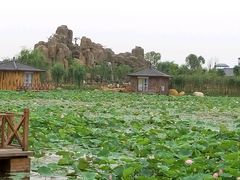 android_upload_pic-灵山莲花公园-温泉度假区