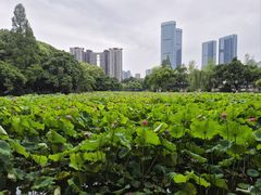 -西南交通大学(九里校区)