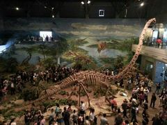 -自贡恐龙博物馆