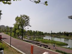 -桂溪生态公园