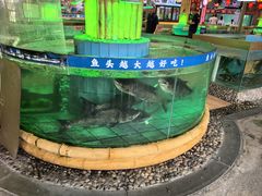 -年辉渔村·非遗传承餐厅(新丰江店)