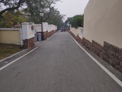-八大关景区