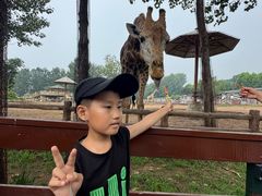 -大连森林动物园