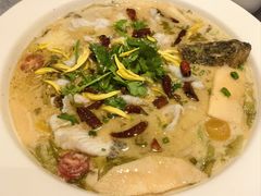-花溪雨·森林餐厅(石基店)