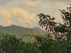 -大姆山草场