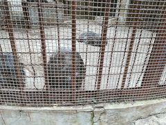 -昆明动物园