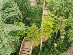 -郑州植物园