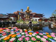 -上海东林寺(金山区)