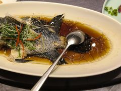 -骏莱海鲜鱼港(五角场店)