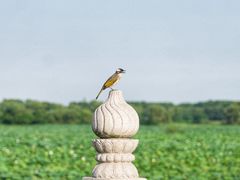 -重元寺