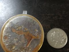 -黄但记老店·陈村粉食府