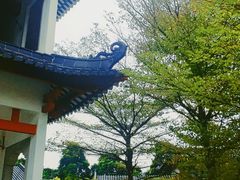 -广东花都湖国家湿地公园