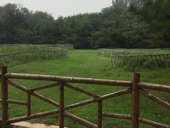 -廊坊市自然公园