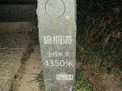 -梧桐山风景名胜区