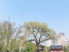 -堤角公园