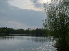 -白鹭湾湿地公园