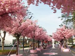 -东莞松山湖万象汇