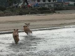 -嵊泗基湖沙滩