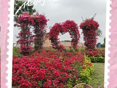 -东莞植物园